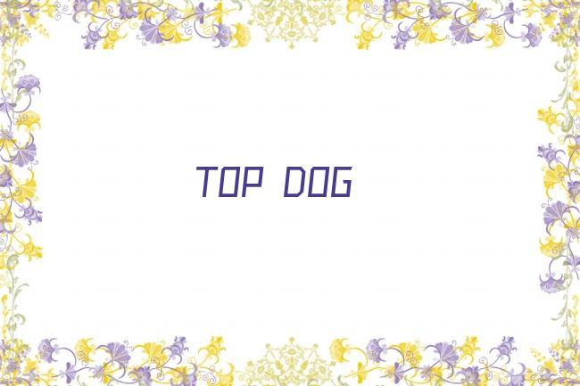 TOP DOG剧照